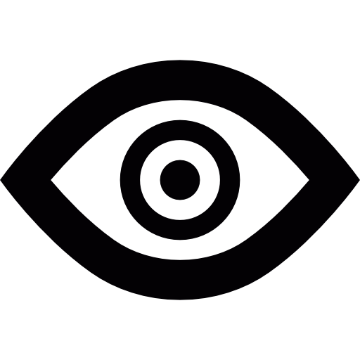 Vision Icon