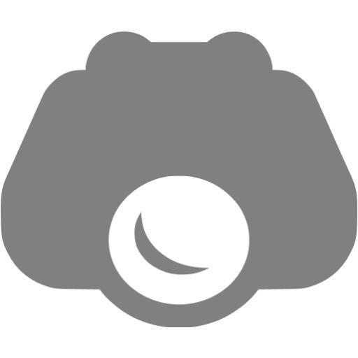 Gray Nightvision Icon