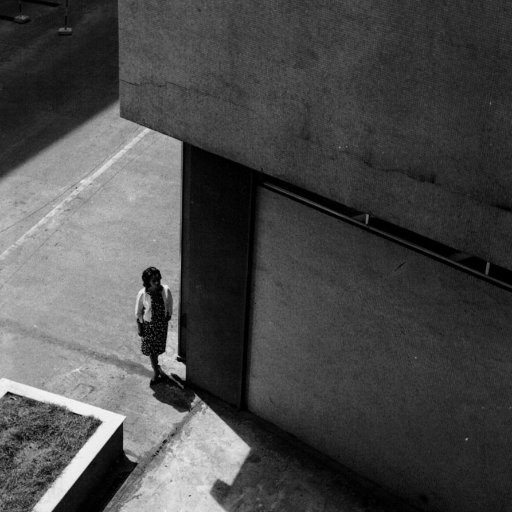 Wind Rose On Twitter A Look