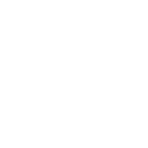 White Nike Icon