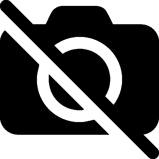 City No Camera Icon Windows Iconset