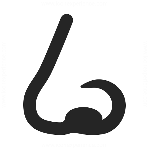 Nose Icon Iconexperience