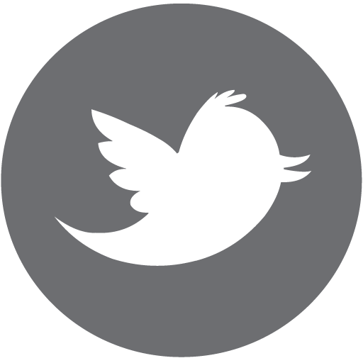 Electorlysis Nyc Twitter Icon