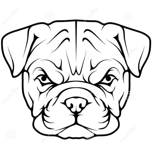 Pricing Bulldog It Solutions