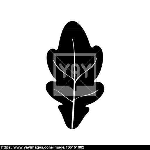 Oak Leaf Black Color Icon Vector