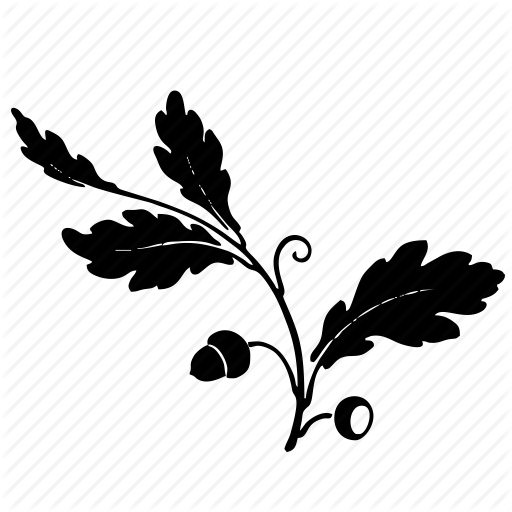 Branch, Leaves, Nature, Oak, Tree Icon