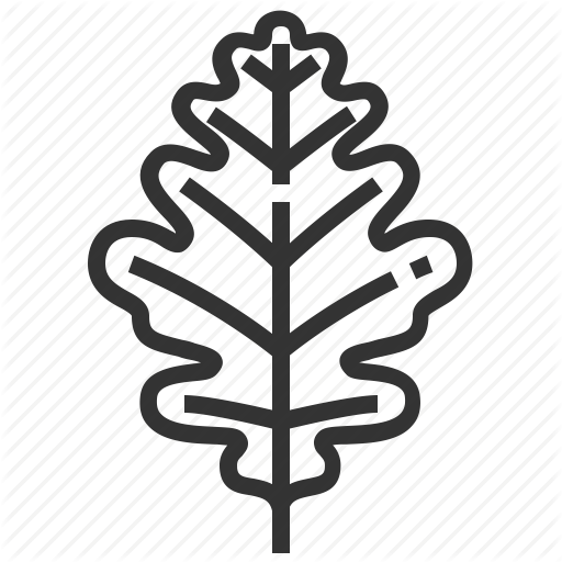 Leaf, Leaves, Oak, Tree Icon