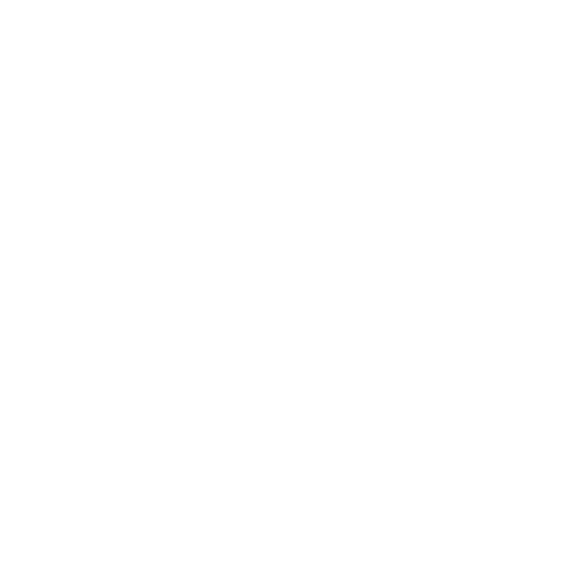 White Google Icon