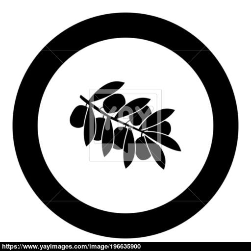 Olive Branch Black Icon In Circle Vector Illustration Vector