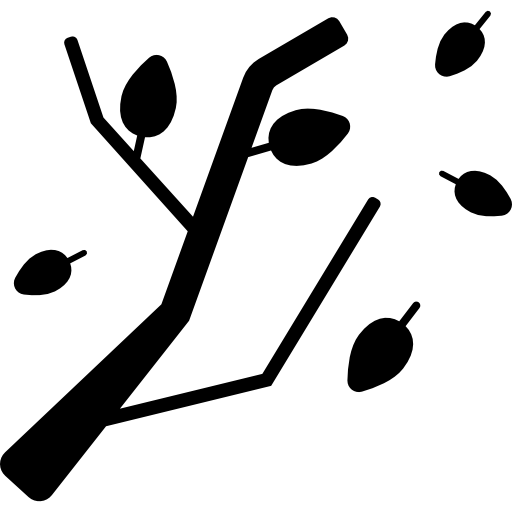 Branch Icon