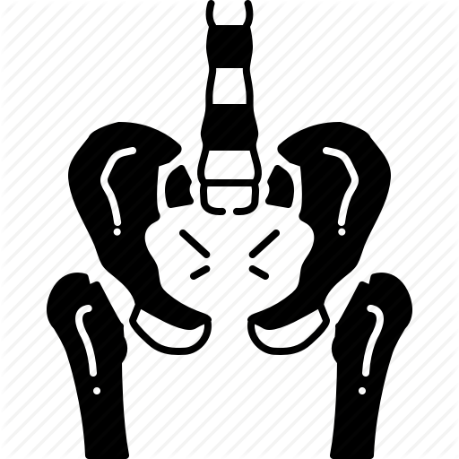 Bones, One, Pelvic, Snuffle Icon