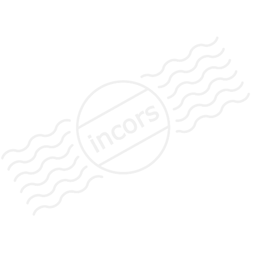 Iconexperience M Collection Orange Icon