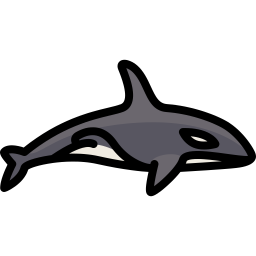 Orca Png Icon
