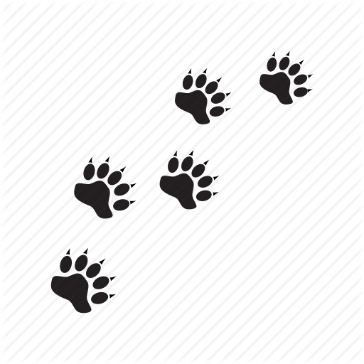 Animal, Bear, Footprint, Icons, Pawprint, Trail Icon