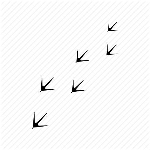 Animal, Bird, Footprint, Icons, Print, Trail Icon