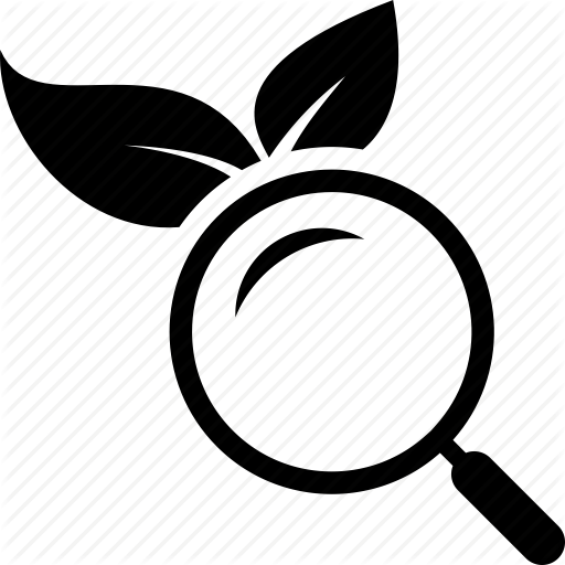 Organic, Search Icon