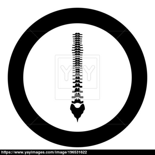 Human Spine Icon Black Color In Circle Or Round Vector