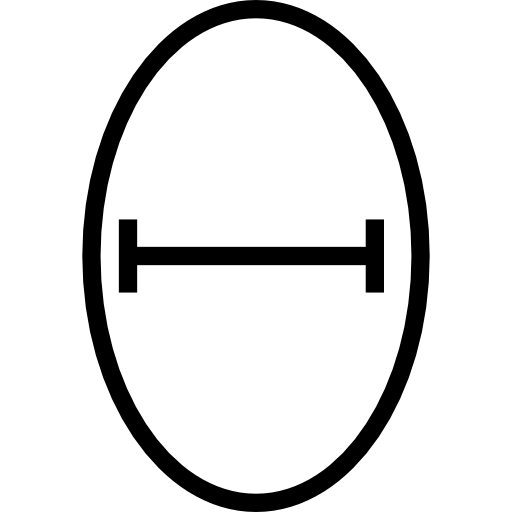 Oval Icon