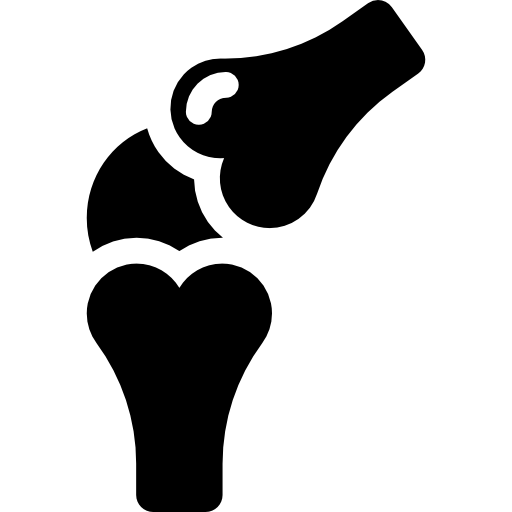 Bones Icon