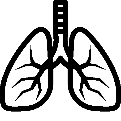 Lung Transparent Png Pictures