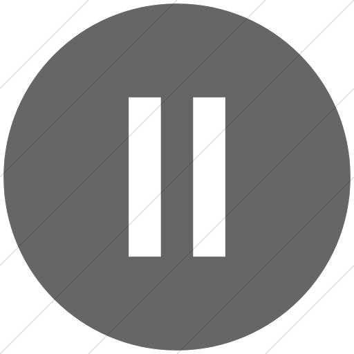 Flat Circle White On Gray Classica Pause Button Icon