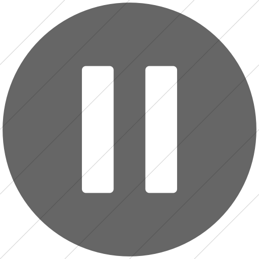 Flat Circle White On Gray Broccolidry Pause Icon
