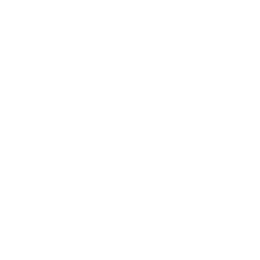 White Paypal Icon