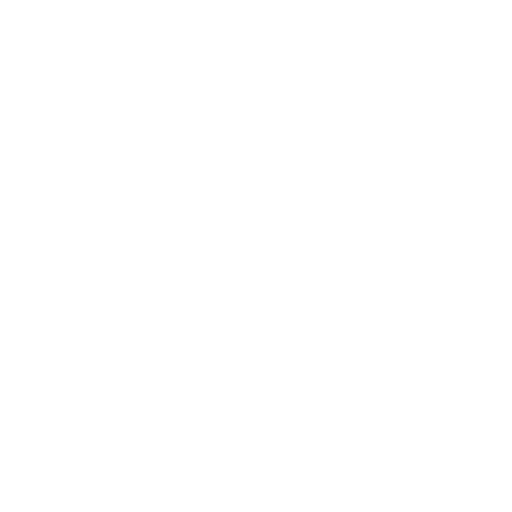 White Paypal Icon