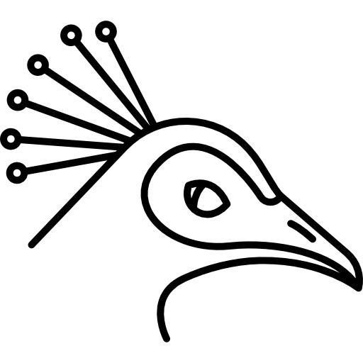 Peacock Icon
