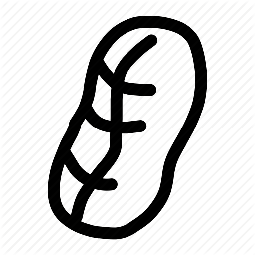 Allergen, Allergy, Nut, Peanut Icon