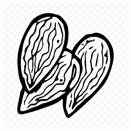 Almond Vector Transparent Png Clipart Free Download