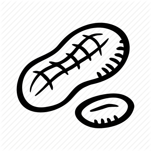 Food, Healthy, Nut, Nuts, Peanut, Protein, Snack Icon