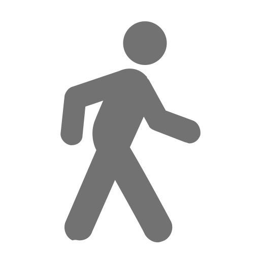 Pedestrian Icons, Download Free Png And Vector Icons