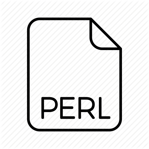 Code Format, Extension, Format, Perl, Type Icon