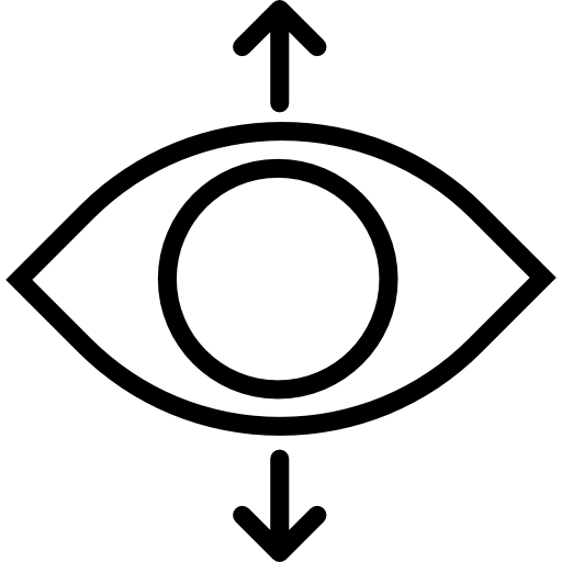 Interface Perspective Icon