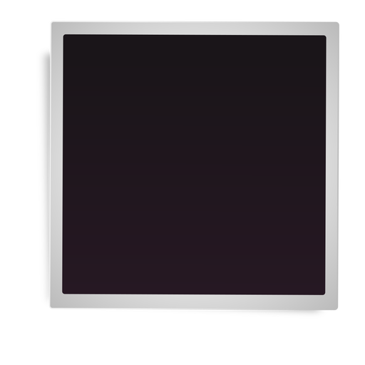 Simple Polaroid Frame Icon