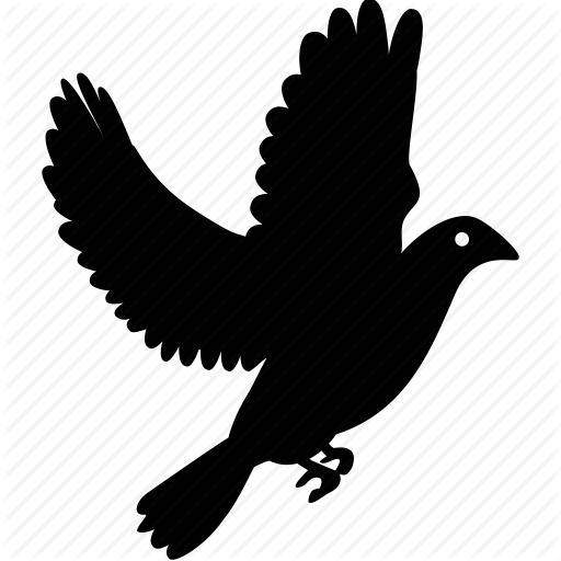 Pigeon Icon