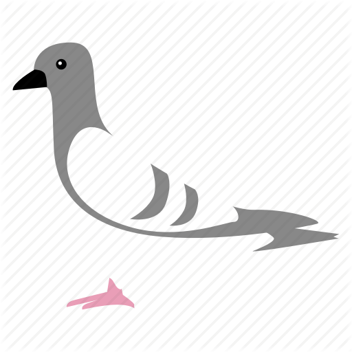 Bird, Pigeon Icon