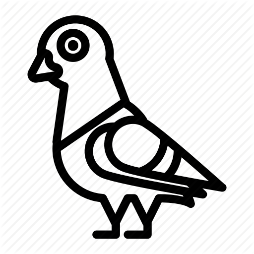 Animal, Bird, City, Dove, Pigeon Icon