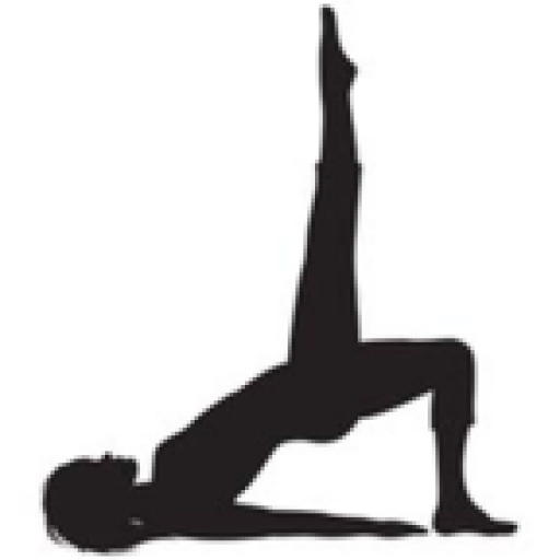 Cropped Ms Icon Body Contrology