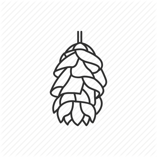 Flower, Maine, State, State Flower, State Symbol, Usa, White Pine