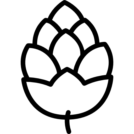 Pinecone Icons Free Download