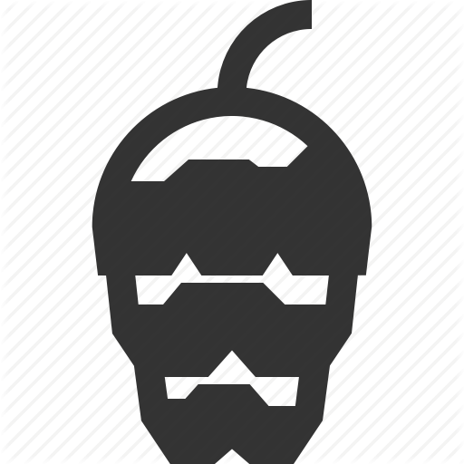 Cone, Nature, Pine, Plant Icon