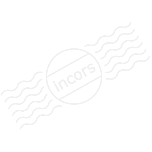 Iconexperience M Collection Pineapple Icon