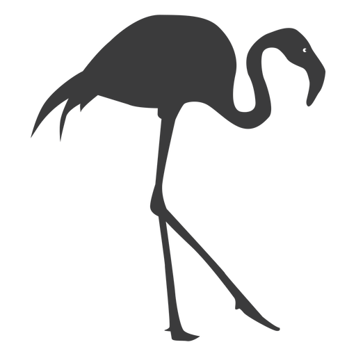 Flamingo Beak Pink Leg Silhouette Bird