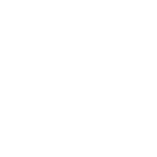 White Internet Explorer Icon