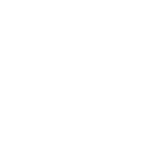 Business Intelligence