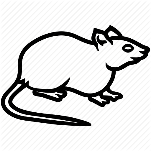 Mouse, Plague, Rat, Rodent Icon