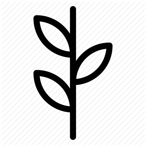 Growing, Leaf, Plant, Seed Icon