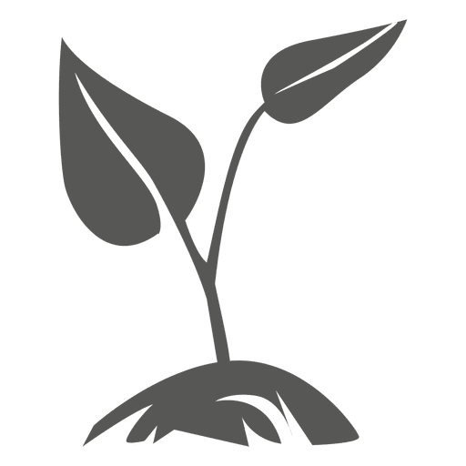 Growing Plant Icon